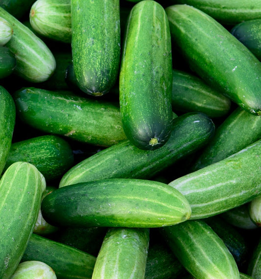 Cucumber (Kheera)