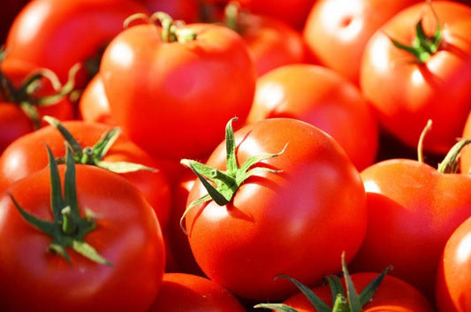 Tomato (Tamatar)