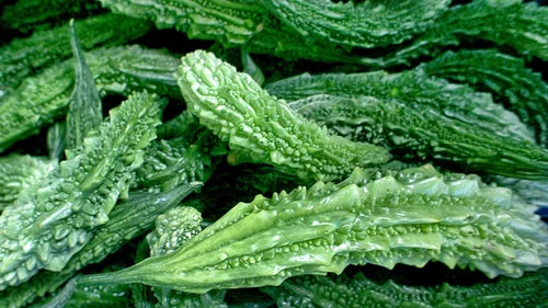 Karela (करेला)