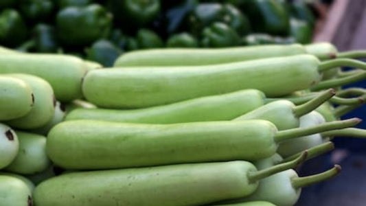 Bottle gourd (Lauki)